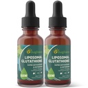 Liposomal 글루타티온, 우량한 흡수, 액체 글루타티온 보충교재, 강력한 산화 방지제, Liver Detox, Immune 증강 인자, Soy 자유로운, 비 GMO, Vegan & 글루텐 Fre, 4 fl.oz, 1500 mg