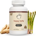 산 & Indigestion 구호, Occasional Acid Reflux & Heartburn, Ginger, Curcumin, Spearmint & More – Phd 의사 공식화 및 Clincially-Studied - 30 서빙