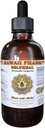Selfheal 액체 추출물, 유기 selfheal (Prunella Vulgaris) Tincture, 초본 보충교재, 미국, 4 fl.oz에서 만드는 하와이 Pharm