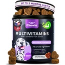 개 비타민 1에서 15 - MSM을 가진 개 Multivitamin Chews Hip & 합동 건강 - 가려운 피부 기복을 위한 개 보충교재 - 효소를 가진 개 면역성이 있는 지원을 위한 Multivitamin - 피부 & 외투, 기동성 지원