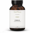 차가 버섯 보충. 이중 추출물, 순수한 과일 몸, 30% 다당류, 500 mg, 120의 vegecaps (120 일 공급). 건강한 소화, 면역 기능을 지원하고 심장 건강을 승진시킬 수 있습니다.