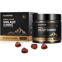 유기 Shilajit Gummies, 남자 보충교재를 위한 순수한 Himalayan Shilajit Gummies, 여자를 위한 금 Shilajit Gummies, 자연 85+ 추적 무기물, Ashwagandha, 까만씨 기름 추출물, 90의 Gummies