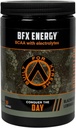 BFX 에너지 전 운동 분말 보충교재 (BlackBerry Lemonade)는 자연적인 카페인, Intra 및 포스트 운동 근육 회복, 30의 서빙을 위한 BCAA, Electrolytes 및 녹차 잎과 더불어,