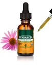 허브제약은 면역 체계 지원, 유기 지팡이 알콜, 1개의 Ounce (DECH01)를 위한 유기 Echinacea 뿌리 액체 추출물을 증명했습니다