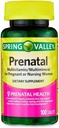 임신 및 간호 여성 규정식 보충교재 정제, 100 조사를 위한 Prenatal Multivitamin/Multimineral