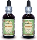 Selfheal (Prunella Vulgaris) Glycerite, 유기 건조 허브 알코올-FREE 액체 추출 (브랜드 이름: HerbalTerra, 미국에서 만들어진 Proudly) 2x2 fl.oz (2x60 ml)