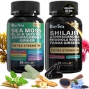 모든 제품 Shilajit와 바다 Moss 번들 - 90 카운트 - 바다 Moss, 블랙 씨 오일, Ashwagandha, Ginger & Shilajit, Rhodiola Rosea, 모든 1 보충제 (1 Pc)