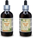 Xia Ku Cao, Prunella (Prunella Vulgaris) Tincture, 유기 건조 스파이크 분말 액체 추출 (브랜드 이름: HerbalTerra, Proudly Made in USA) 2x4 fl.oz (2x120 ml)