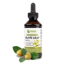 Maxx Herb Olive Leaf Extract – 최대 강도 Oleuropein 액체는 캡슐 또는 차보다 더 잘 흡수합니다. 면역 지원, 심장 건강 및 계절 웰빙 - 4 Oz Bottle (60 서빙)