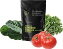 유기 Superfood Greens 파우더 MSM, Gut Health, Digestion, Immune Support, Energy 및 More (Sugar Free, Non-GMO, Keto, Vegan), 60 서빙, 30 일 공급