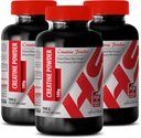 남자를위한 바디 빌더 - CREATINE 분말 100G - Creatine Bulk - 3 병 (Powder)