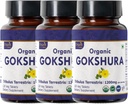 Gokshura 120 정제 | Tribulus Terrestris (Gokshura) | USDA 유기농 인증 | 면역력과 강도 지원 | 유기농 및 천연 120tab - 팩 3