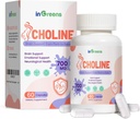 Prenatal Choline 보충교재, Inositol, B1, B6의 Utero/Early 생활에 있는 뇌 발달과 더불어 500mg는, Breast 우유, 30 일 공급에 있는 Choline 내용을 증가합니다