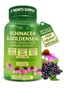 Echinacea Goldenseal 캡슐 - 1개의 면역 지원 보충교재에 대하여 10 - 1455mg - 유기 전체적인 음식으로 만드는 Vegan Echinacea 캡슐 보충교재 - 초본 면역 체계 지원 - 2 달 공급