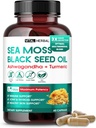 블랙 씨 오일, Ashwagandha, Turmeric & Moringa와 바다 모스 – Immune, 합동 & 피부 지원 보충교재 – 60 캡슐 – Vital Herbal – 실험실 테스트, 비 GMO, 미국에서 만든