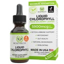 Benevolent Chlorophyll 액체 드롭 - Detox & Immune 지원, 내부 탈취제 및 피부 건강 보충, 비 GMO, 4 개월 공급, 천연 민트 풍미