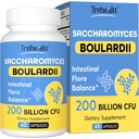 Saccharomyces Boulardii Probiotics 200 억 CFUs, 여성 및 남성 효모에 대한 임상 시험, Gut, Immune & Digestive Health, 산성 방지 및 유통, 60 일 공급