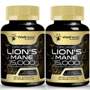 Lions Mane 보충교재 캡슐 - 120의 조사 - 버섯 보충교재, 기억과 초점, 사자 Mane 버섯 캡슐을 위한 뇌 보충교재 - Cognitive & 면역 지원, 초점 보충교재 - 2 팩