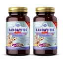 Solgar Kangavites, Bouncin' Berry 맛 - 120 Chewable Tablets, Pack of 2 - 어린이를위한 멀티비타민 및 미네랄 포뮬러 - Vegan, 글루텐 무료