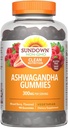 Sundown Ashwagandha Gummies, 90 개