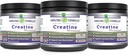놀라운 포뮬러 Micronized Creatine Monohydrate 보충 | 5000 Mg | Non-GMO | 글루텐 프리 | 미국 (1 Lb - 3 Pack, Unflavored) 제작