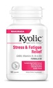 Kyolic Aged 마늘 추출물 공식 101, 긴장 및 피로 구호, 100 캡슐.