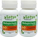 Shilajit Forte 캡슐 500 mg. 60 Veg. 캡슐 | Shilajit (Asphaltum) 남자와 여자를위한 캡슐을 추출 | Ayurvedic 초본 보충 / 요법 | 10 : 1 Forte (2 병 60 캡슐)