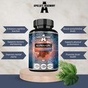 APOLLO의 매일 복용량 당 HEGEMONY 알파 GPC 600mg - 90 Vegan Choline 캡슐 - 99% Choline Alfoscerate Dietary 보충교재 - Lipid Choline - 기억과 농도 캡슐