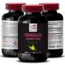 Stamina 힘 - TRIBULUS TERRESTRIS EXTRACTS - 활동, 에너지 지원 공식, 활동적인 에너지 지원, 식물 근거한 에너지 부스트, 활동 힘, 활동적인 운동 부스트 1 병 60의 정제를 위한 에너지