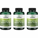 Swanson Stinging Nettle Root (Urtica Dioica) - 초본 보충 - (100 캡슐, 500mg) (3 팩)