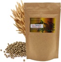 Natural Organic Brewer's Yeast Pill beer효모 환 3.52(100g) / 여성 및 남자를위한 면역 시스템 보조제