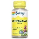 SOLARAY Astragalus Root 550mg | 건강한 면역 기능 및 스트레스 지원 | Adaptogen Herb | 비 GMO & Vegan | 100 VegCaps