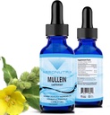 Absonutrix Mullein 300 mg, 4 Oz 액체, 300 서빙, 미국에서 만든, 빠른 흡수, 품질 Potent 성분, 비 GMO, GMP 인증 시설, Cruelty-Free 제품
