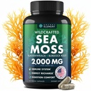 Sea Moss 캡슐 - 아일랜드어 Sea Moss Burdock 뿌리, Bladderwrack & Muira Puama Immunity, Gut, & Energy - Superfood Sea Moss 보충제 w / Raw Sea Moss 파우더 - 120 아일랜드어 Seamoss 알약