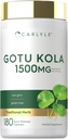 Carlyle Gotu Kola 캡슐 1500mg | 180 개 | 비 GMO, 글루텐 프리 | 전통 허브 추출물