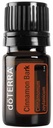 doTERRA Cinnamon 정유 - 5개 ml